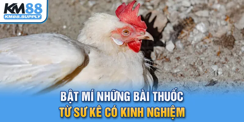 Các bài thuốc được nhiều người nuôi có kinh nghiệm áp dụng