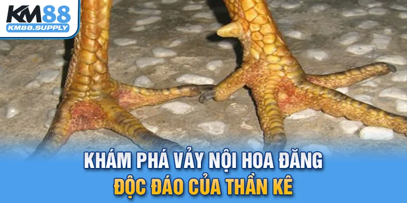 Khám phá vảy nội hoa đăng độc đáo của thần kê