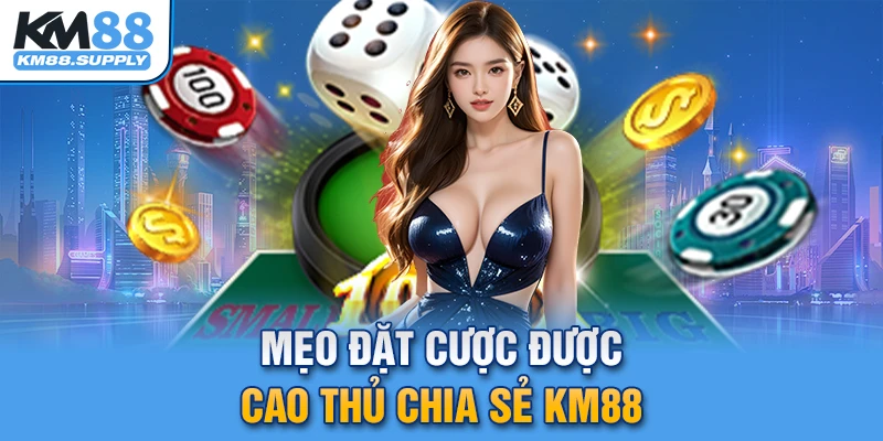 Mẹo đặt cược xóc đĩa lãi suất cực cao