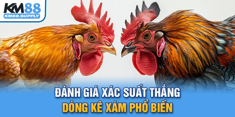 Đánh giá xác suất thắng của các dòng kê xám phổ biến